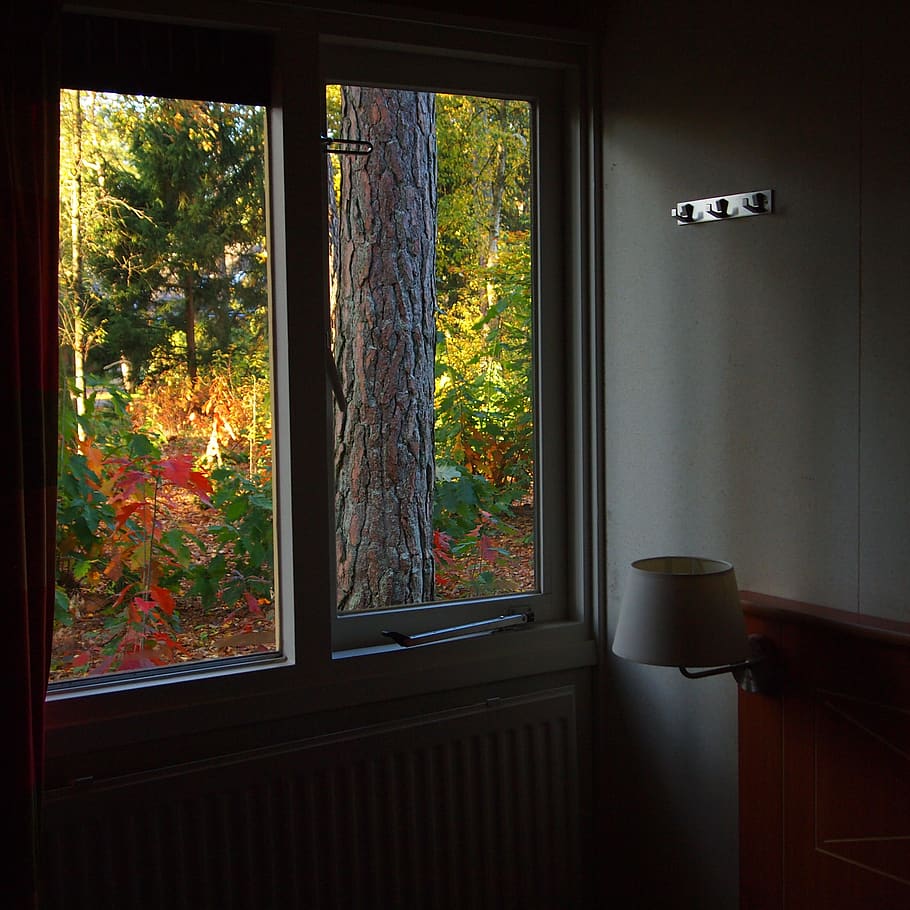 habitación, ventana, vista, otoño, jardín, colores, bosque, naturaleza, vidrio - material, interior