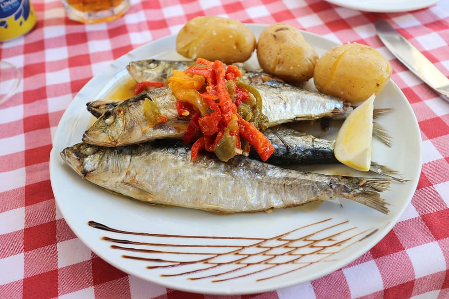 portugal, sardines, marine products, food, food and drink, plate, freshness, ready-to-eat, checked pattern, healthy eating