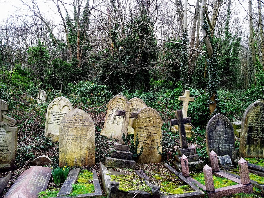 Cemetery, Grave, Tombstone, cemetery, grave, green, ruhestäte, ivy, cross, haunt, london