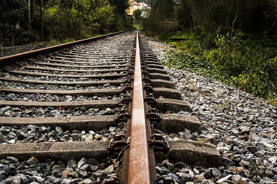 empty, railroad, trees, rail, railway, train, sleepers, via, railroad Track, transportation