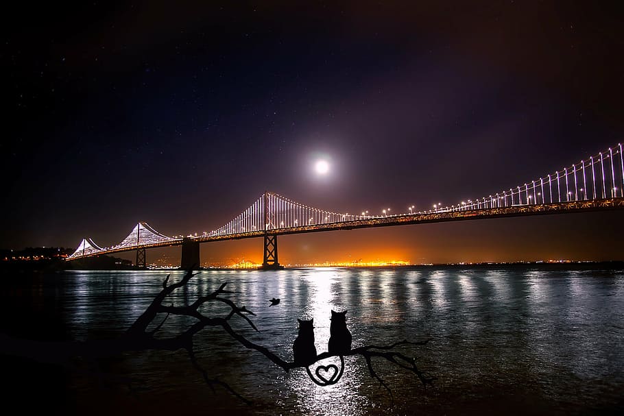 cable bridge, night, san francisco, oakland, bay bridge, water, reflections, moon, moonlight, port