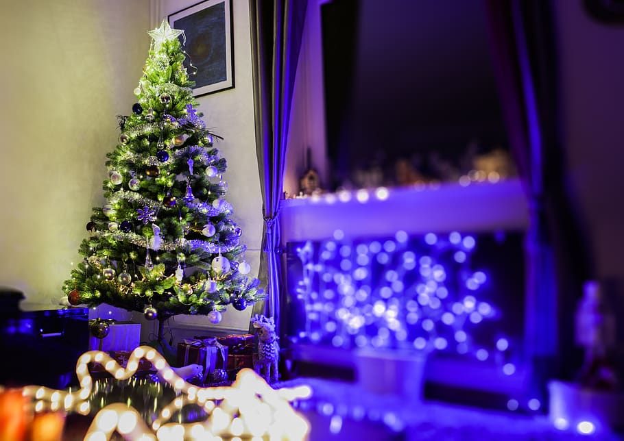 azul, luzes, árvore de natal, presentes, decoração, natal, festa, celebração, bokeh, janela