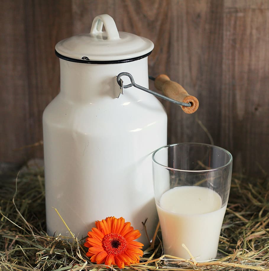 white-milk-drinking-glass-milk-can-glass-glass-of-milk-gerbera