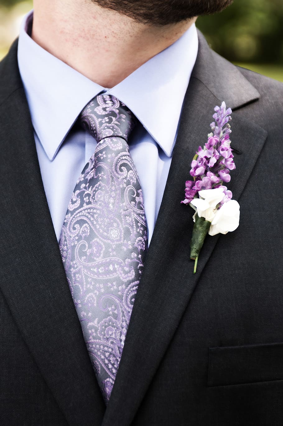 fashion, portrait, people, wear, man, groom, tie, purple, adult, business