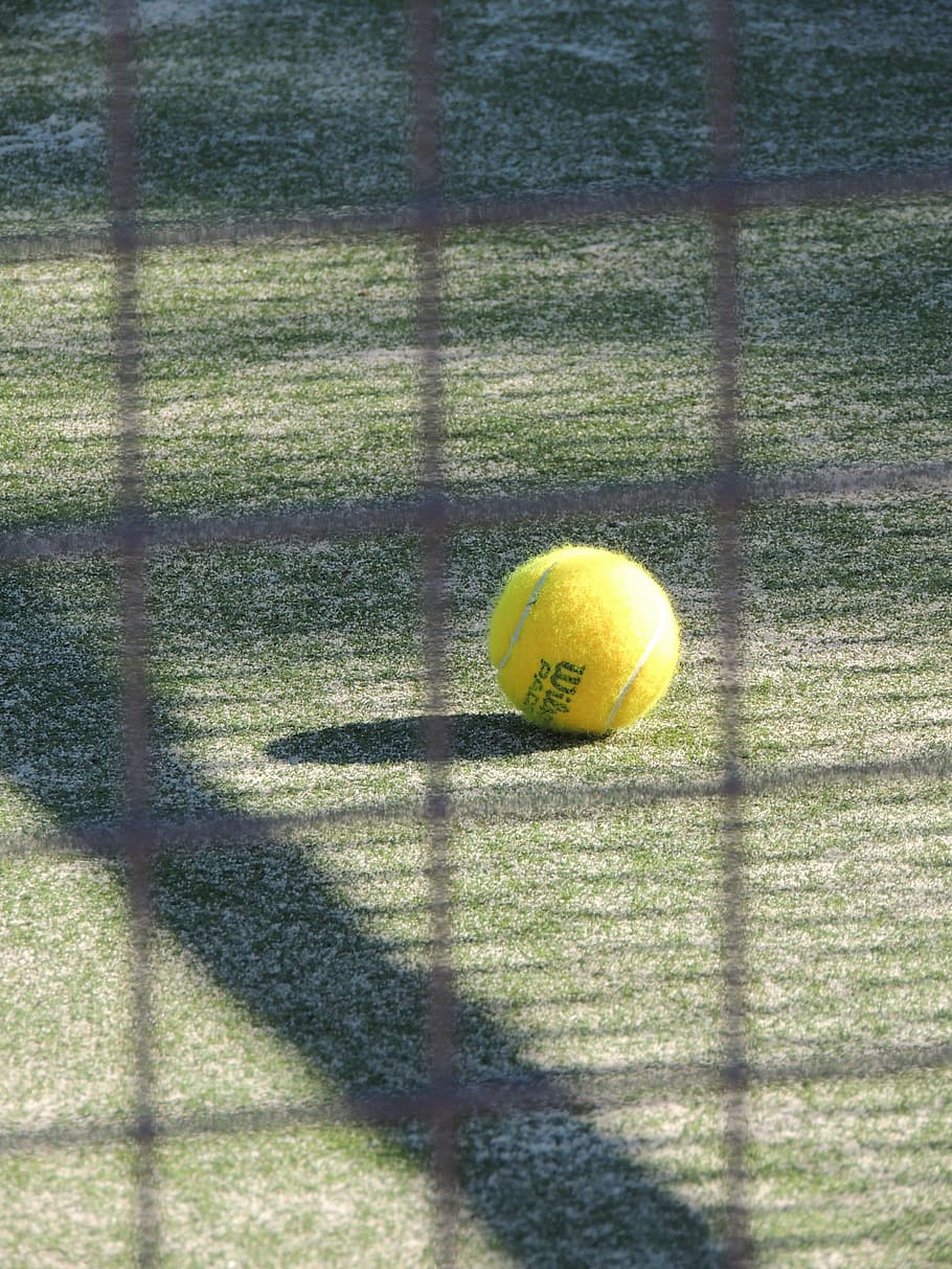 yellow, wilson tennis ball, green, grass, tennis, sport, paddle, ball, track, approach