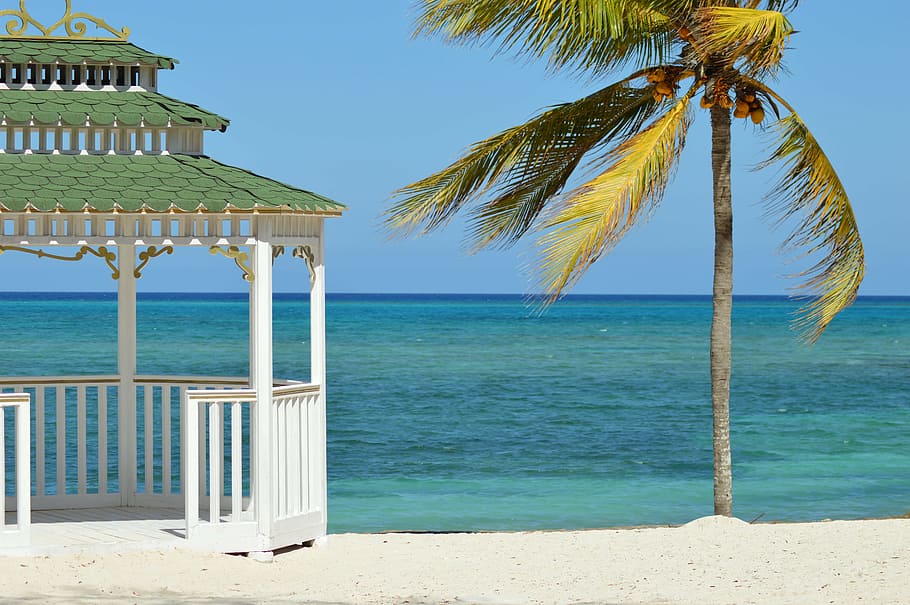 white, wooden, gazebo, coconut tree, summer, sea, wedding outdoors, holiday, rest, palma
