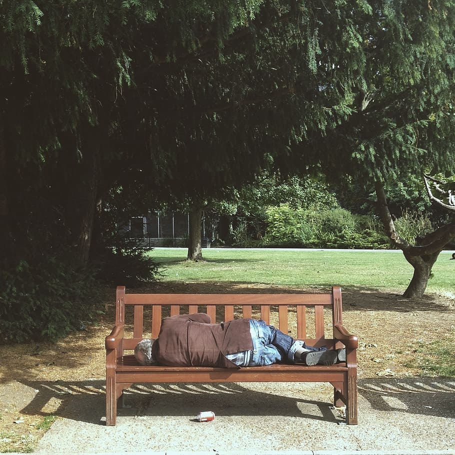 person, sleeping, bench, tree, down-and-out, bommer, hobo, park, stranger, tramp