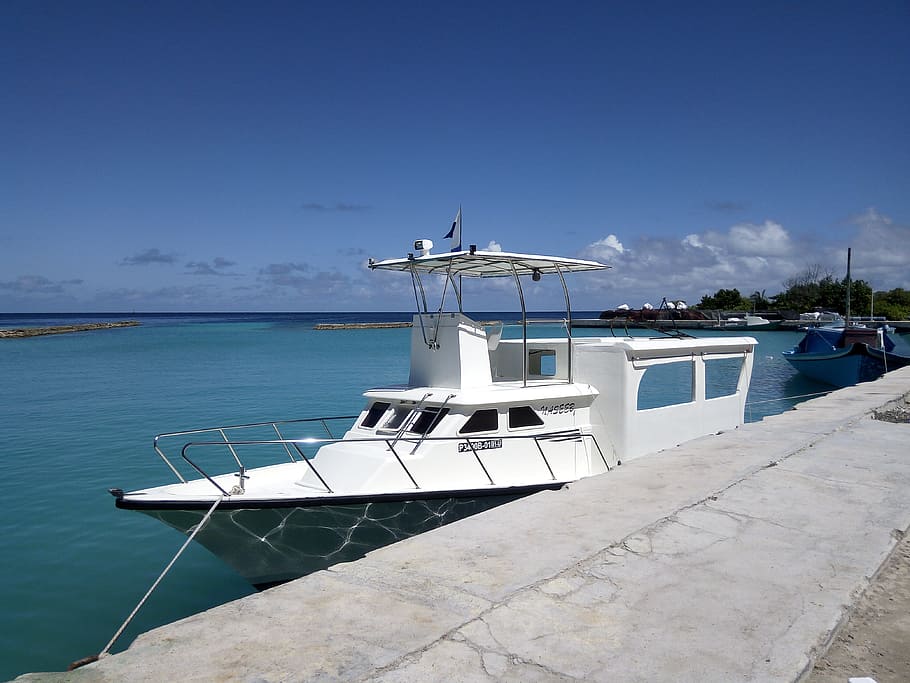 boad, speedboat, thoddoo, maldives, sea, ocean, water, todd, turquoise, nautical vessel