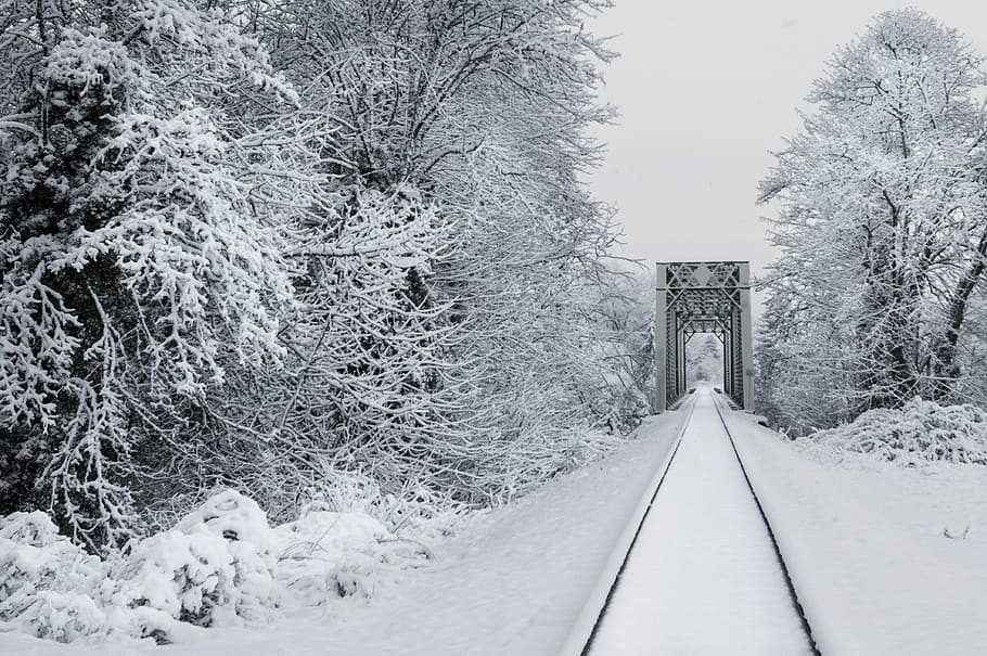 snow, train, tracks, transport, outdoors, trees, fresh, winter, cold, zing