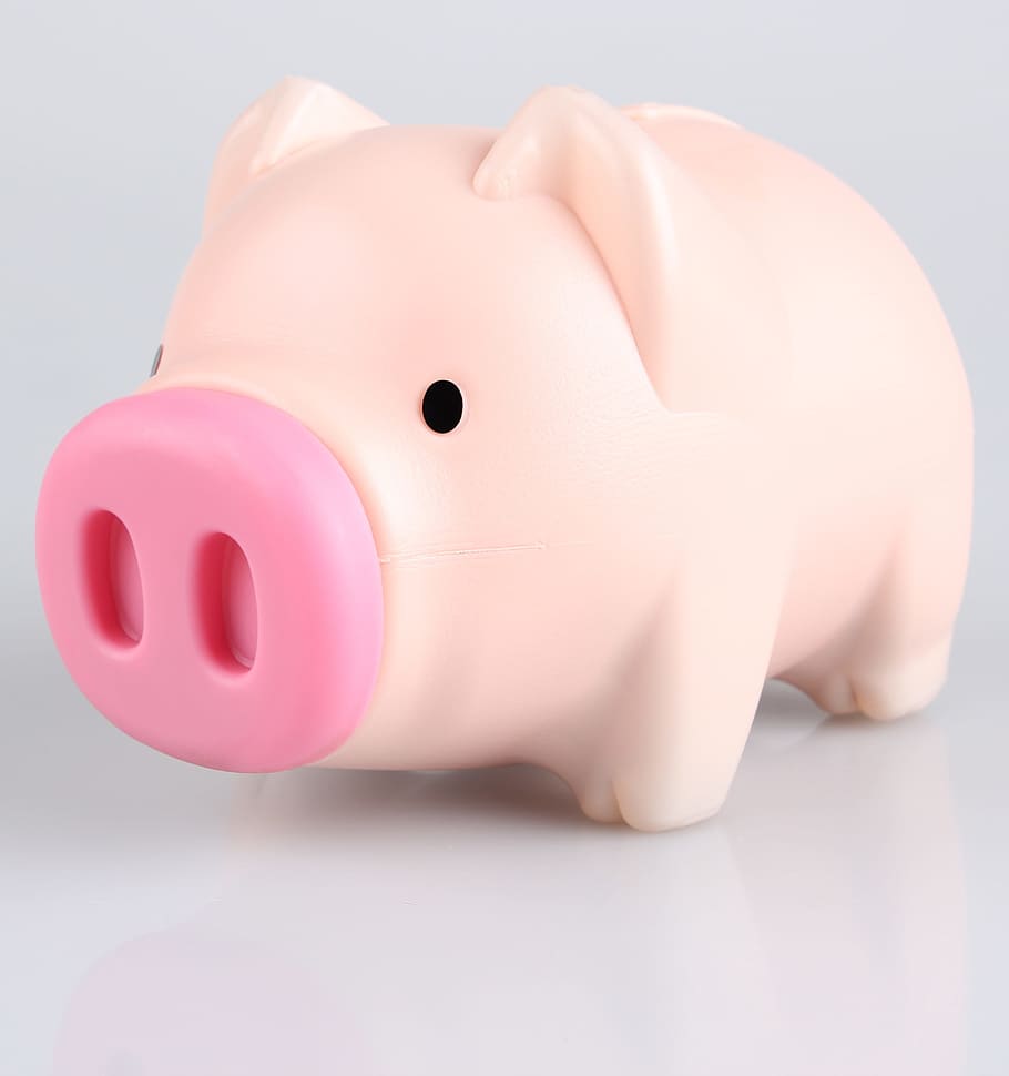ピンク, 豚のおもちゃ, クローズアップ, 写真, 貯金箱, 豚, 貯蓄, 金融, 家計, 投資