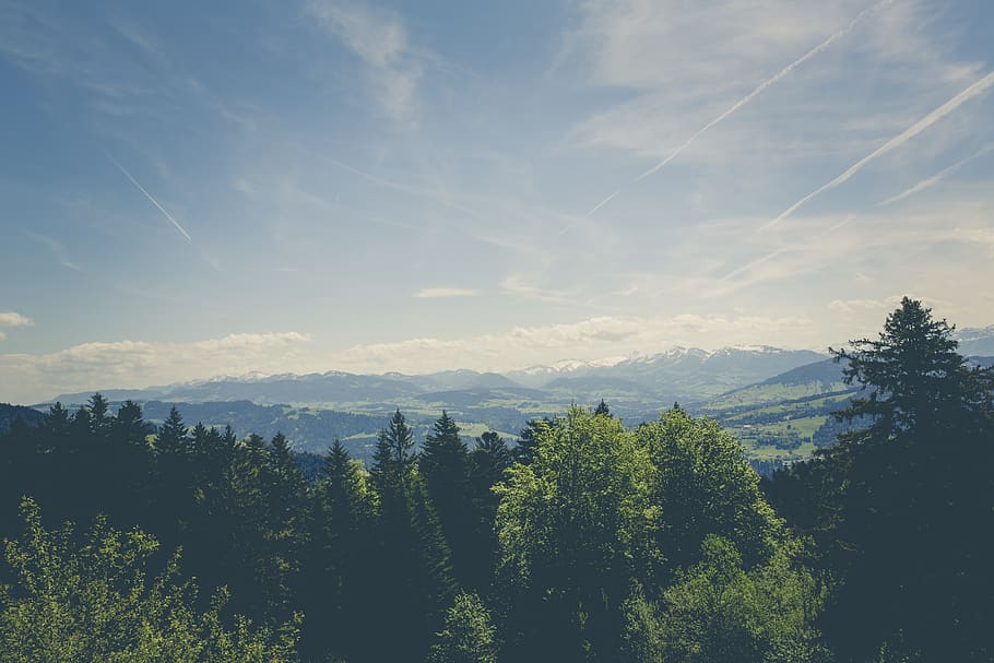 green, trees, plant, nature, forest, mountain, view, highland, sky, cloud