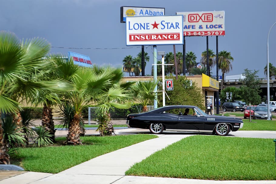 black, coupe, parked, lone, star insurance building, classic car and palm trees, ford, mustang, black duster, 4x4