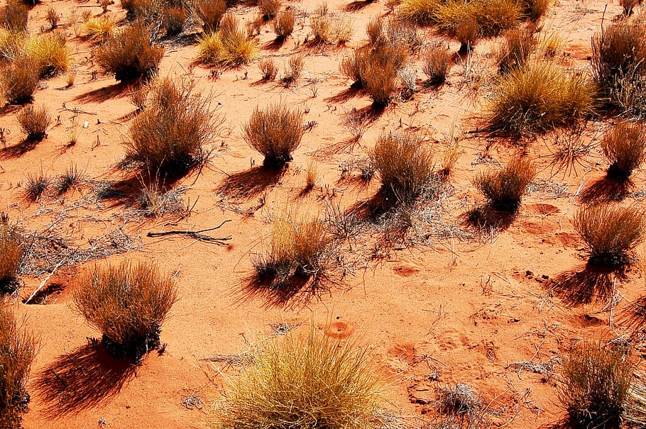 outback, australia, landscape, ground, sand, drought, arid, dry, steppe, red