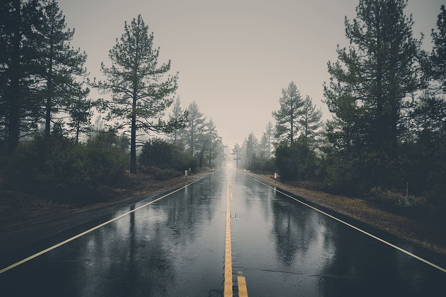 gray asphalt road, rural, road, pavement, rain, wet, raining, trees, nature, storm