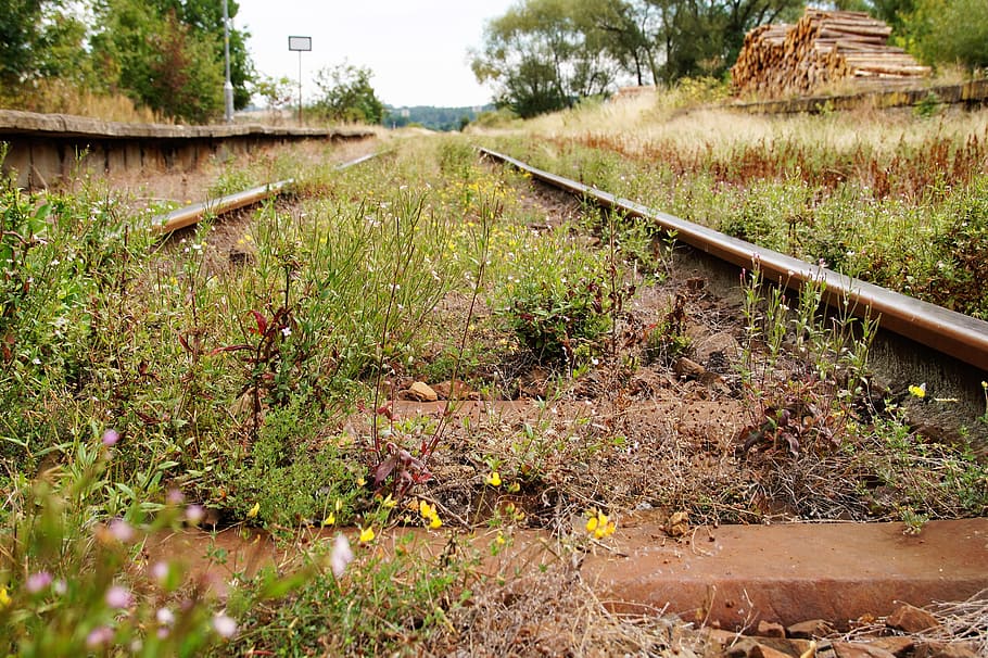 track, train tracks, railway, railroad tracks, nostalgia, overgrown tracks, summer, abandoned, plant, rail transportation