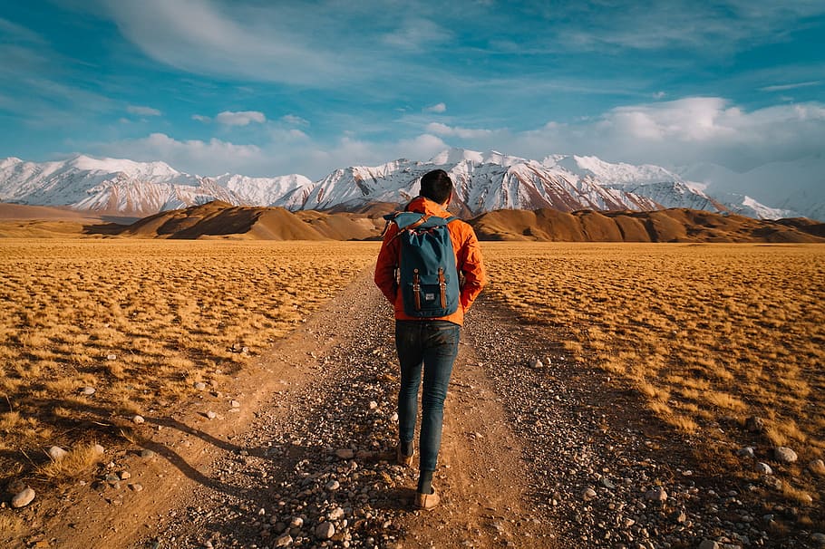 man, walking, mountains, valley, walk, holiday, mountain, standing, one person, rear view