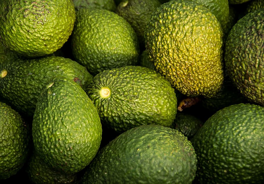 bunch of avocados, hass avocado, avocados, fruit, green, harvest, picked, fresh, healthy eating, food and drink