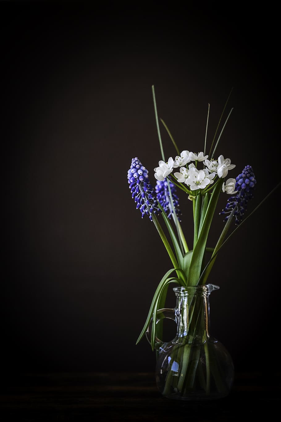 regla, fotografía de tercios, blanco, azul, flores, florero, vidrio, jacinto de uva, flor de puerro, cerrar