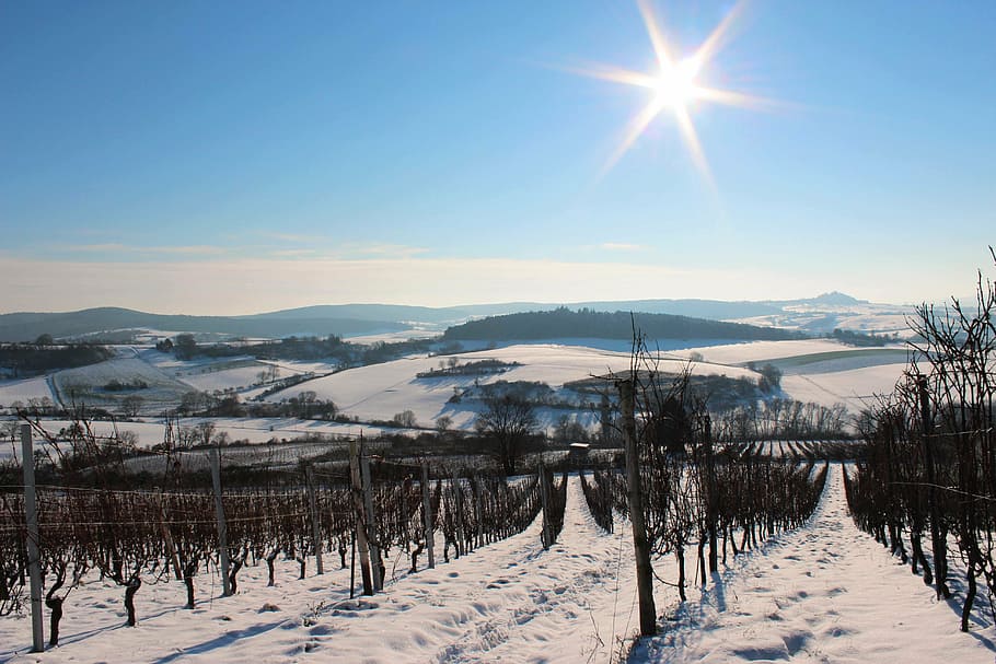 landscape, outlook, scenic, hill, vision, hiking, vineyard, odenwald, snow, cold temperature