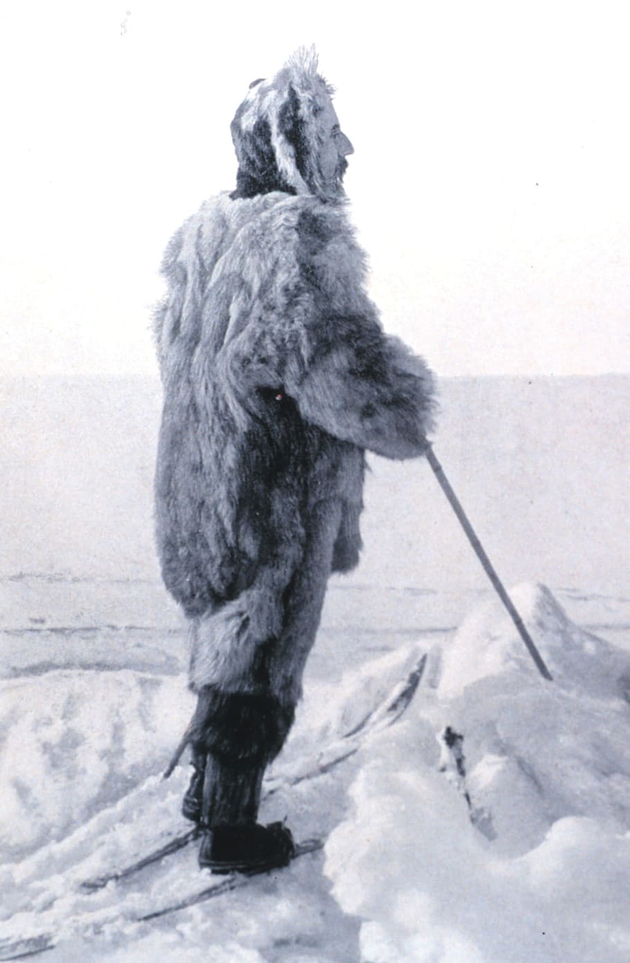 hombre, tenencia, palo, nieve, Antártida, Aventura, ronald amundsen, expedición, aventurero, piel de lobo
