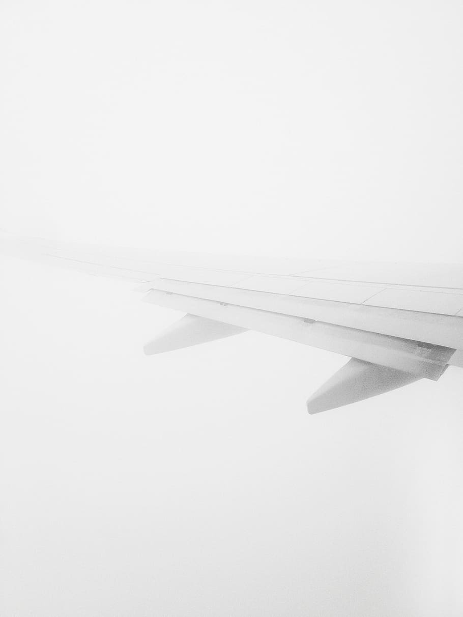 白い航空会社の翼, 白, 飛行機, 翼, 輸送, 飛行, 技術, まだ, ボケ, ミニマリスト
