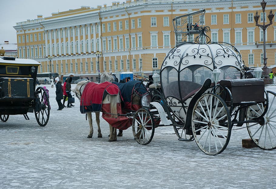 white, brown, horse carriage, russia, saint-petersburg, carriages, palace of the hermitage, palace square, transportation, mode of transport