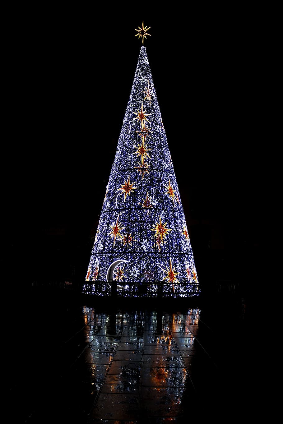 Natal, Málaga, Luzes, Noite, Animado, Iluminação, Festas, Larios de rua, Decoração, Árvore de Natal