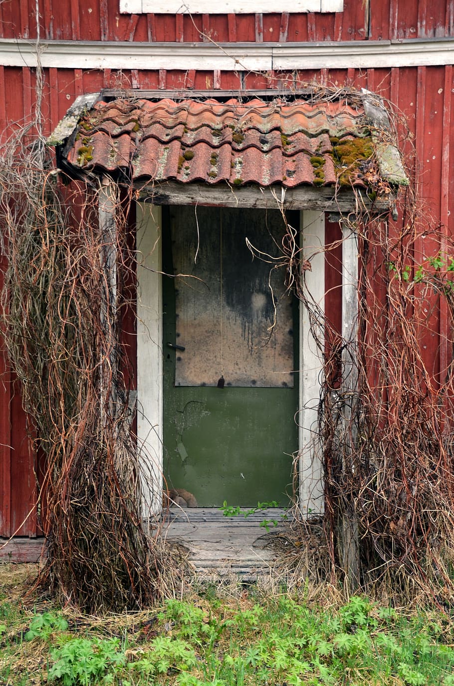 viejo, puerta, rojo, verano, antigüedad, casa, abandonado, edificio, sueco, arquitectura