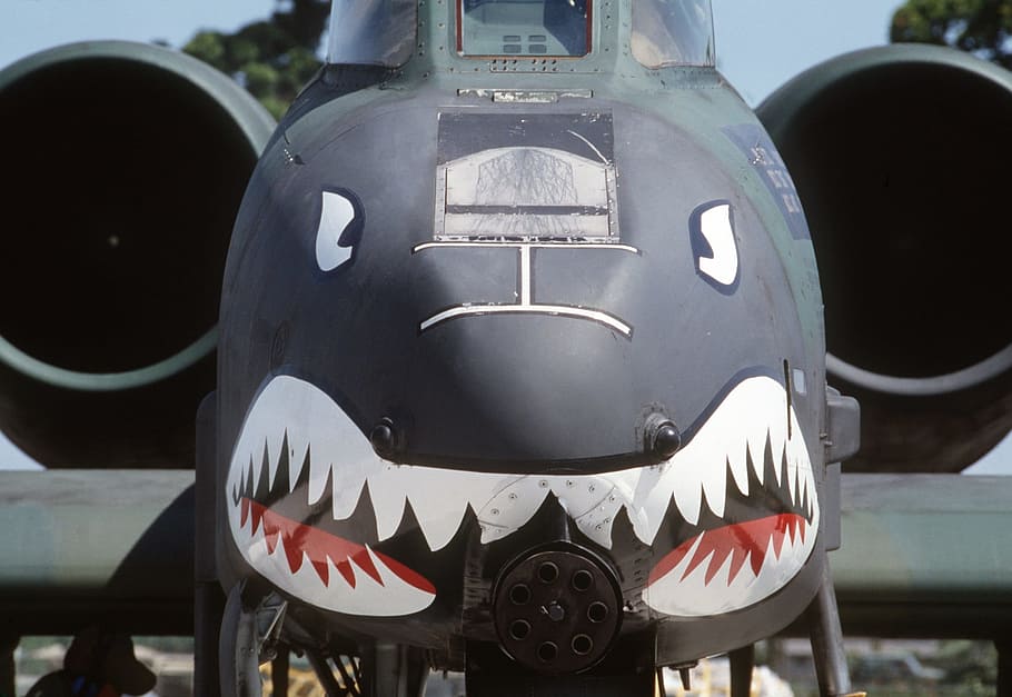 black, green, fighter plane, Shark, Face, Aircraft, A10 Thunderbolt Ii, shark face, plane, airplane