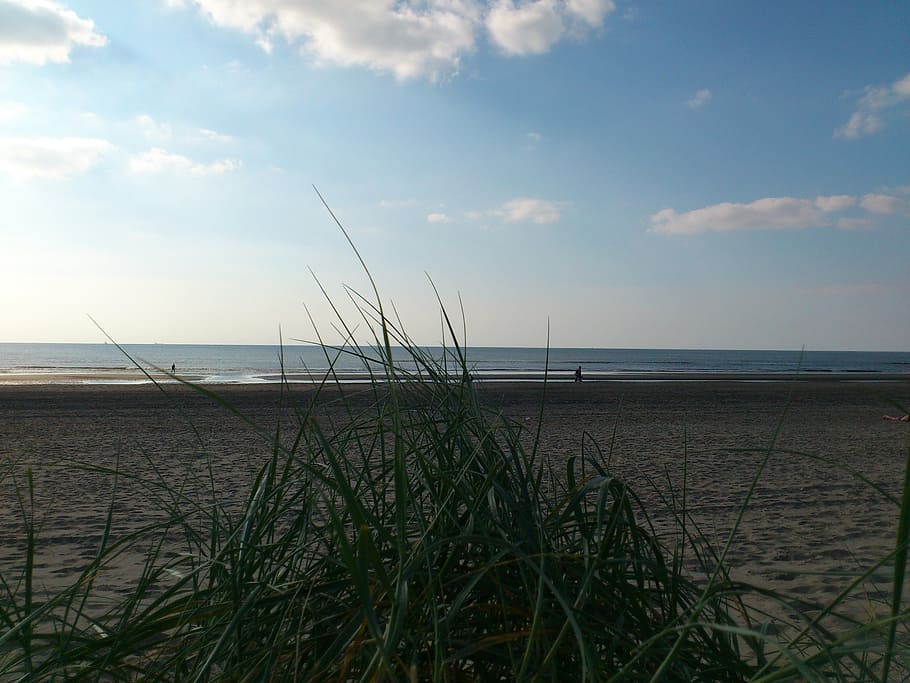sea, north sea, beach, holiday, edge of the sea, sand, beach sand, water, dune, dunes