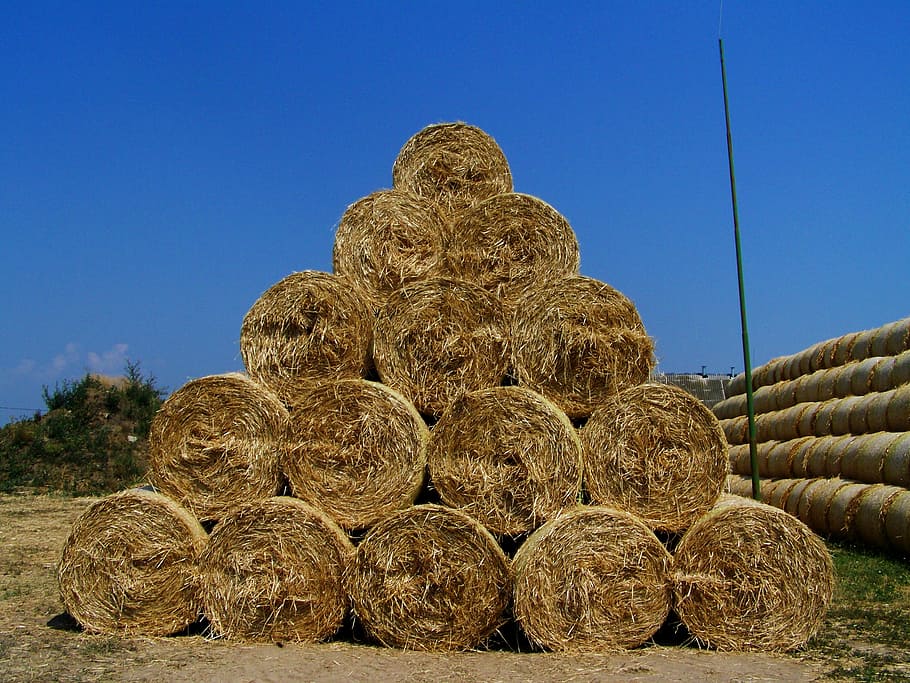 straw bales, pyramid, summer, hay, sky, bale, clear sky, nature, field, day