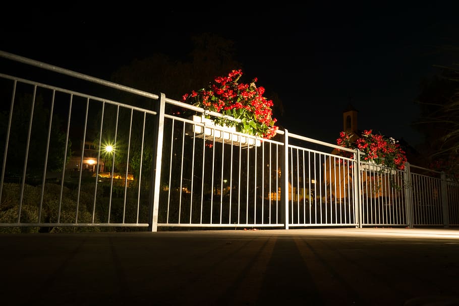 flowers, night photograph, railing, night, away, flowerpot, light shadow, balcony, terrace, accommodation