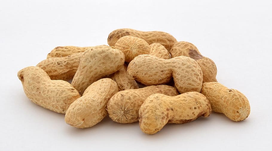 brown peanuts, Peanuts, Nuts, Food, Snack, Healthy, Nut, natural, ingredient, nutrition