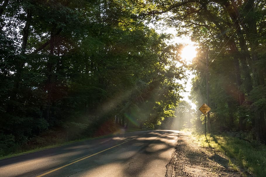 Rural, Road, Sunbeams, Crepuscular Rays, rural road, foliage, scenic, colorful, highway, landscape