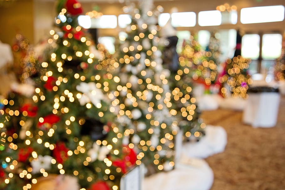 árboles de navidad verdes, árboles de navidad, bokeh, decoración, navidad, brillante, alegre, luz, luces de navidad, fondo de navidad