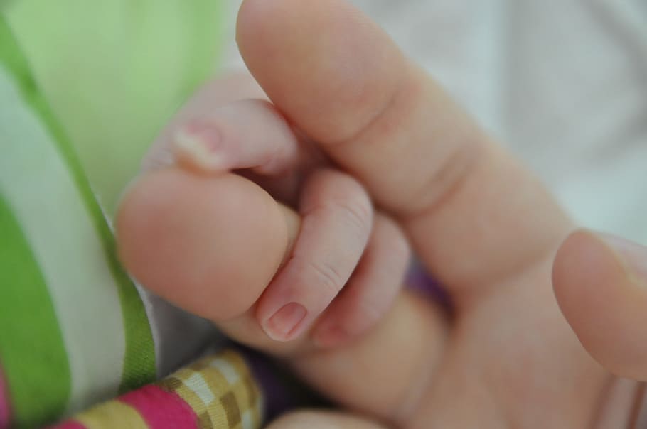 photography, infant, person, holding, hands, child, love, mother, the birth of, handle of the child