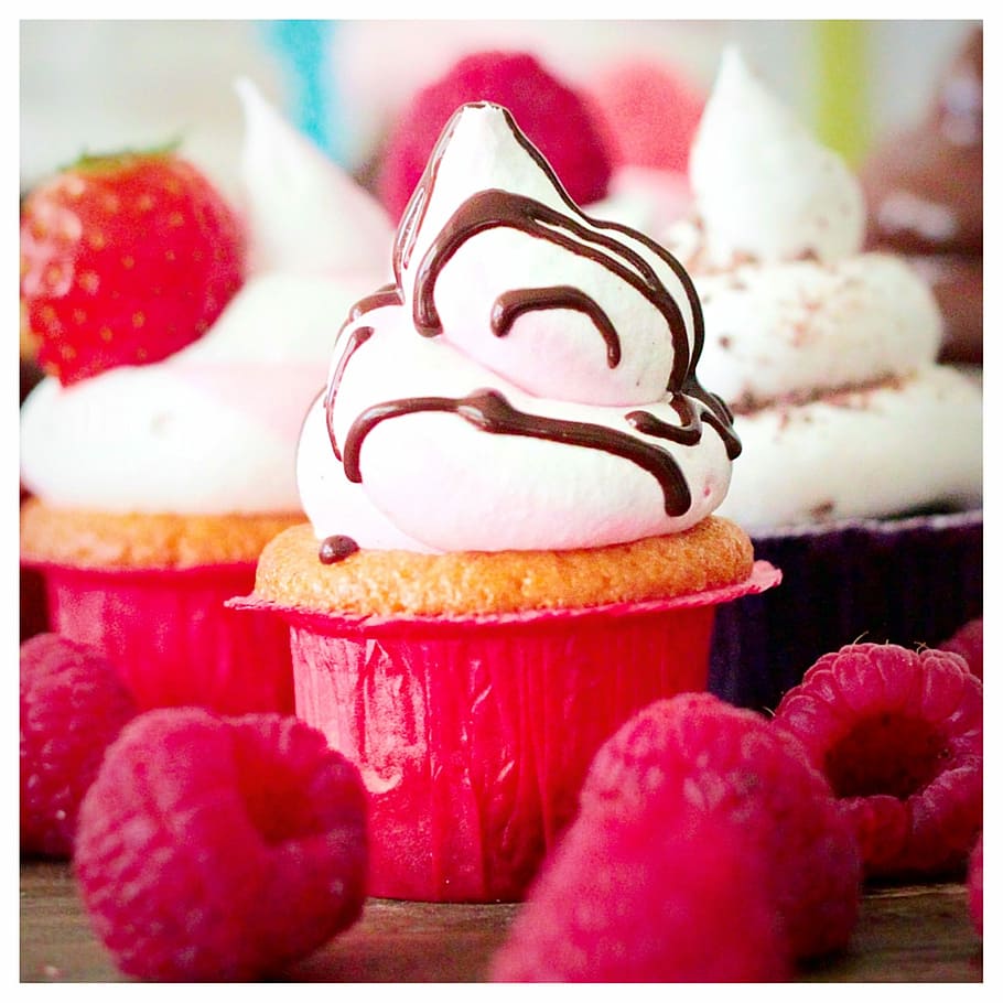 vanilla cupcakes, vanilla, cupcakes, cupcake, chocolate, decoration, sweet food, dessert, food and drink, food