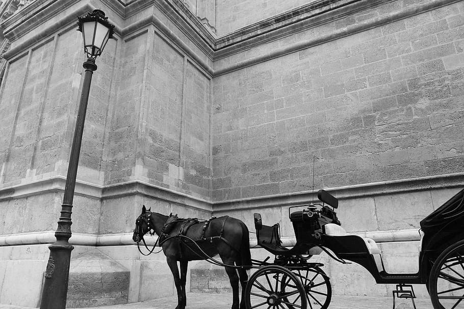 fotografia em escala de cinza, cavalo, ao lado, poste de luz, carruagem de cavalos, carruagem, cavalos, vintage, transporte, romântico
