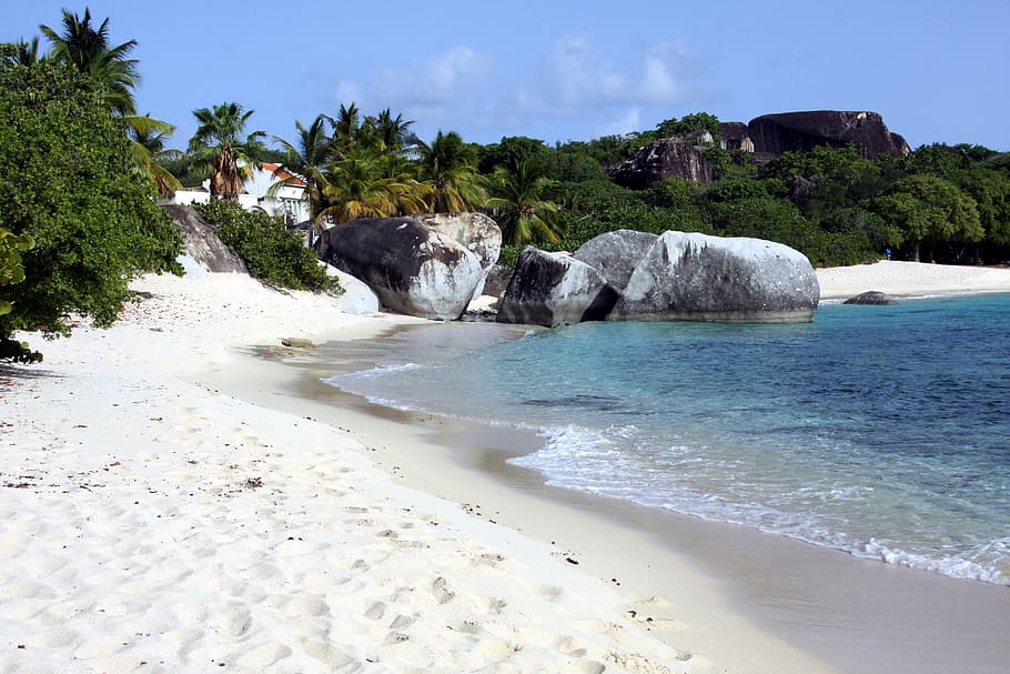 beach, caribbean, sea, palm trees, water, sand, virgin gorda, devils beach, beautiful beaches, sand beach