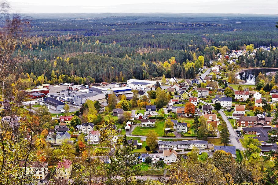 City, Town, Sweden, Taberg, Forest, small town, tree, buildings, house, horizon