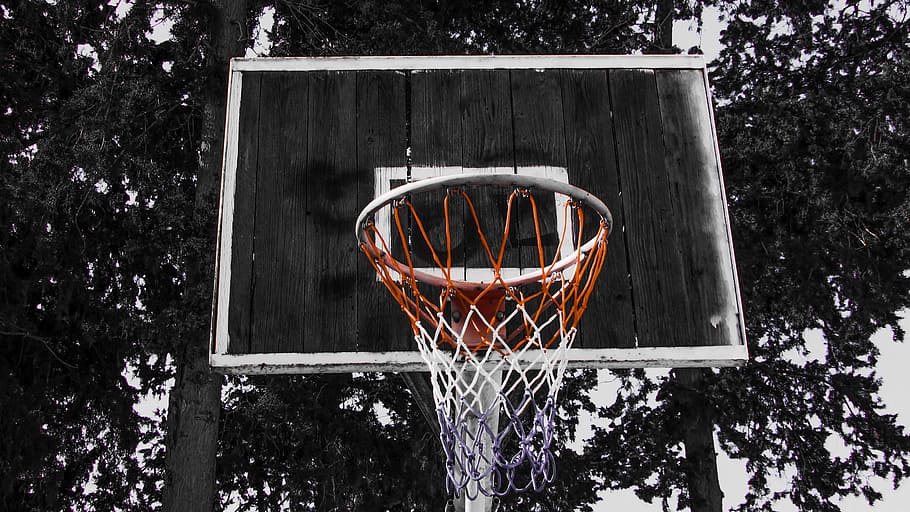 Bola Basket, Olahraga, Jaring, Keranjang, Luar Ruangan, ring basket, basket - olah raga, jaring - peralatan olah raga, pohon, penilaian