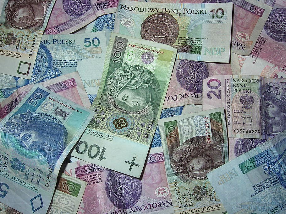 dinheiro, notas polonesas, fanfarrão, moeda, poupança, seguro, salvar, cem dólares, polonês, notas de euro
