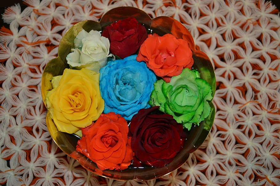 flores, rosas coloridas, natural, 2013, ramo, rosa - Flor, decoración,  rojo, flor, fondos | Pxfuel