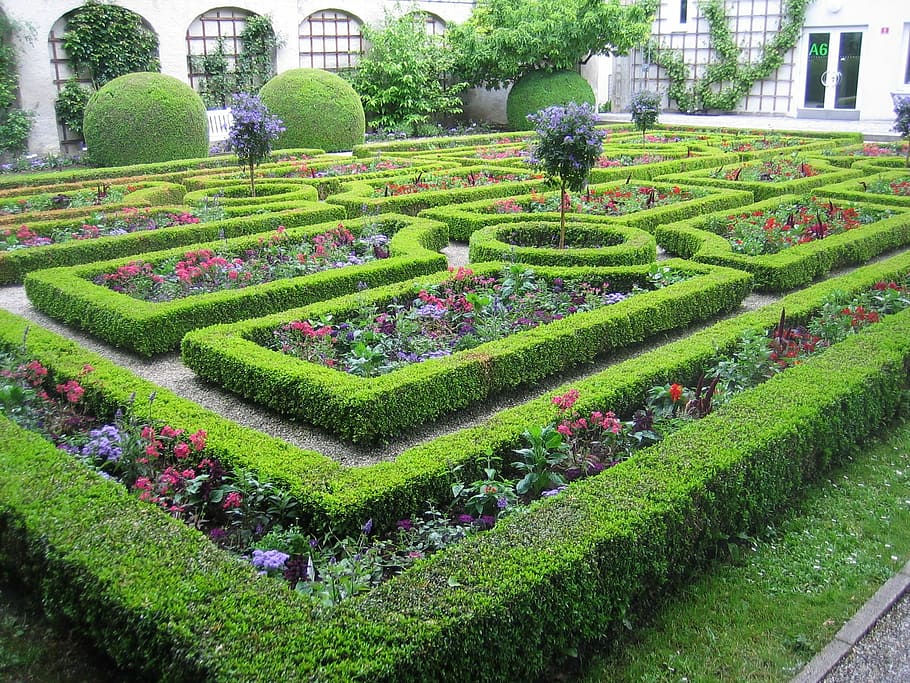 sotaque, cobertura, labirinto de jardim, hora do dia, jardim, labirinto, dia, hora, sebes, cor verde