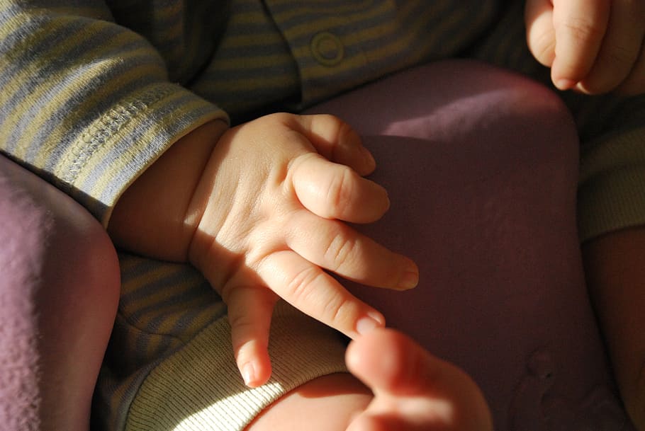 bebé, mano, niño, lindo, dedos, manos, pequeño, infantil, personas reales, unión