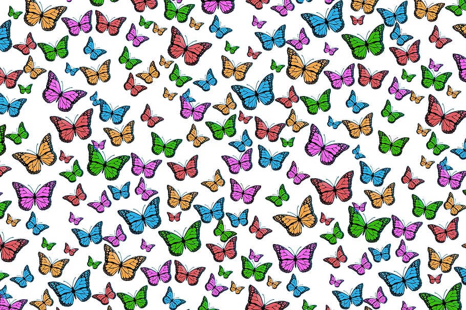 여러 가지 빛깔의 나비 인쇄, 나비, 화려한, 무늬, 조직, 구조, 배경, 벽지, 색깔, 용이성
