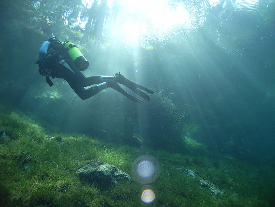 person scuba-diving, surrounded, green, corals, reefs, diving, green lake, forest, meadow, float