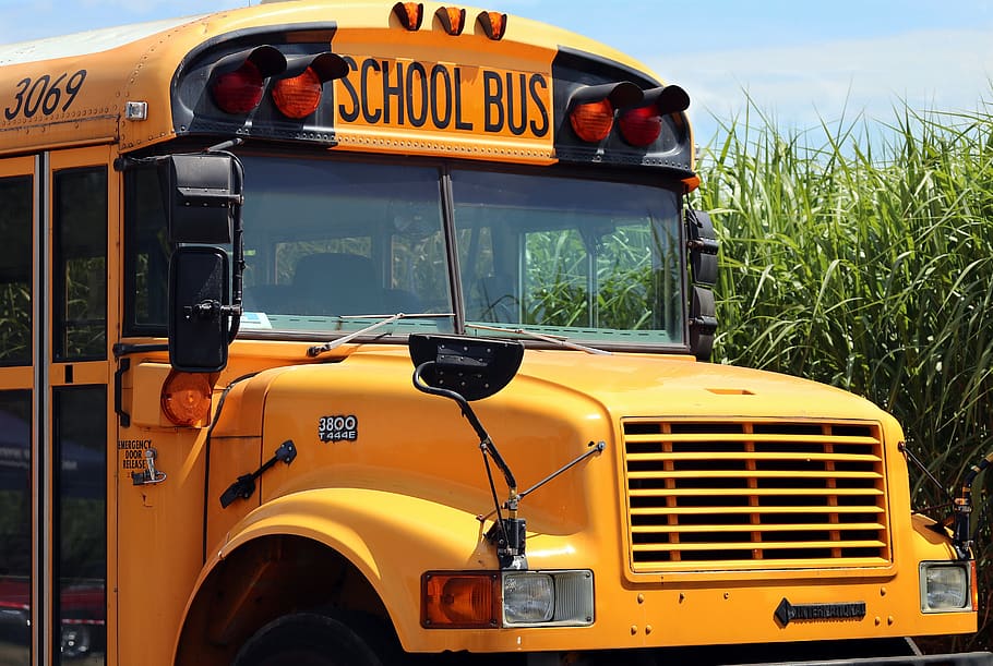 bus sekolah, sekolah, bus, transportasi, pendidikan, kendaraan, kuning, schulbeginn, belajar, kembali ke sekolah