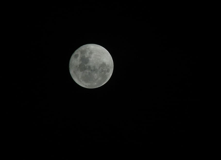 luna llena, redondo, gris, luna, oscuro, noche, espacio, satélite, astronomía, superficie lunar