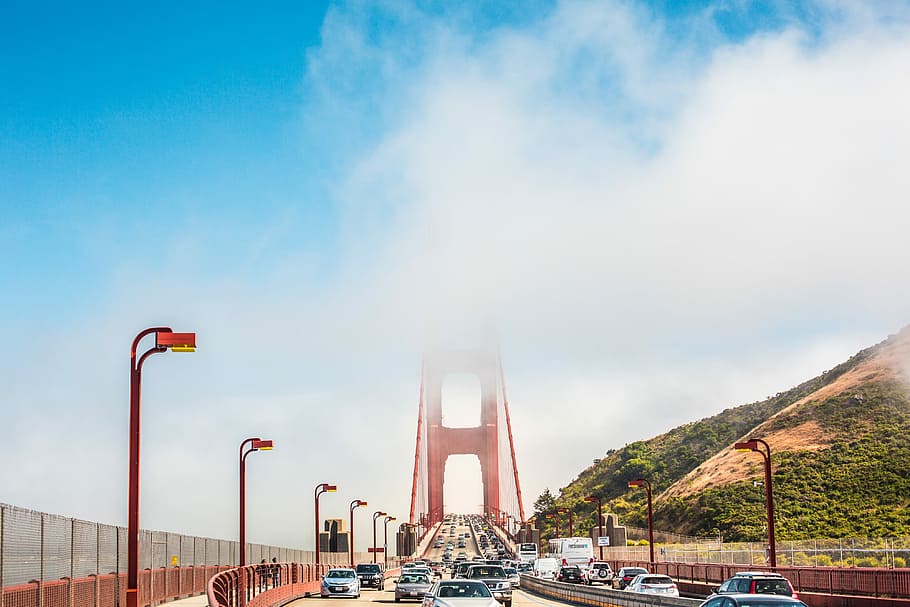 dorado, pilares del puente de la puerta, puente Golden Gate, pilares, cubierto, niebla, arquitectura, puente, california, automóviles